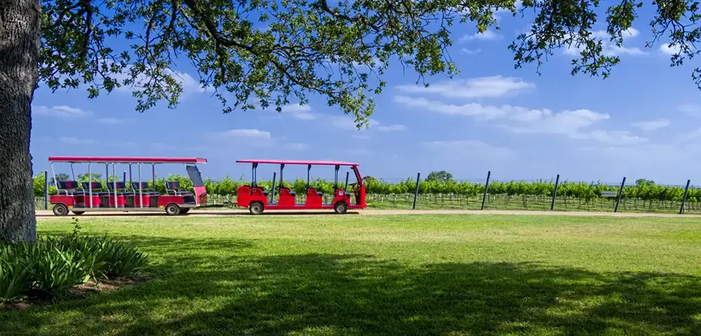 Luxury Travel Hacks Every Wine Enthusiast Should Know for Your Next Fredericksburg Adventure Luxury Travel Hacks Every Wine Enthusiast Should Know for Your Next Fredericksburg Adventure