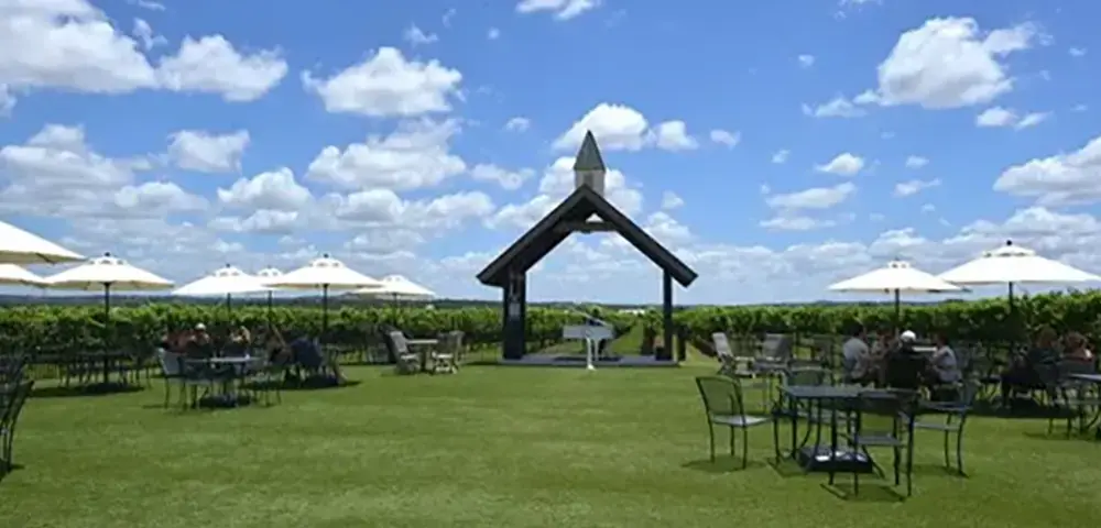 Elevate Your Corporate Retreat Transportation Tips for an Unforgettable Wine Tour