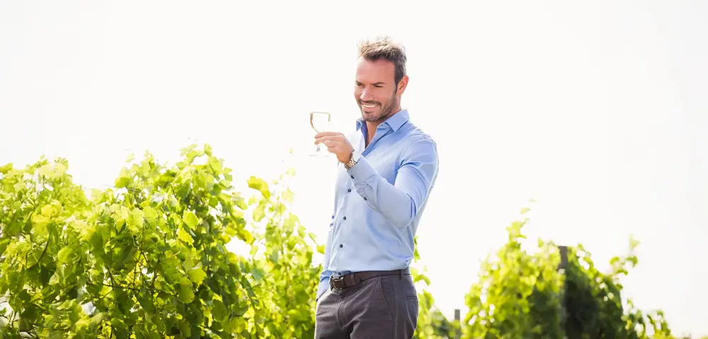 Planning Corporate Wine Tours: Tips for Success with Pronto Andiamo