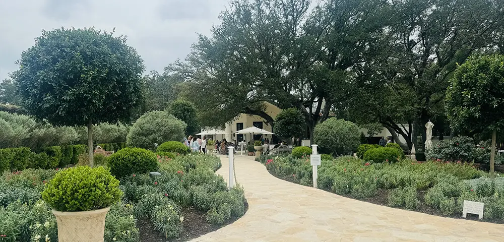 Fun Family-Friendly Wineries in The Hill Country and Fredericksburg